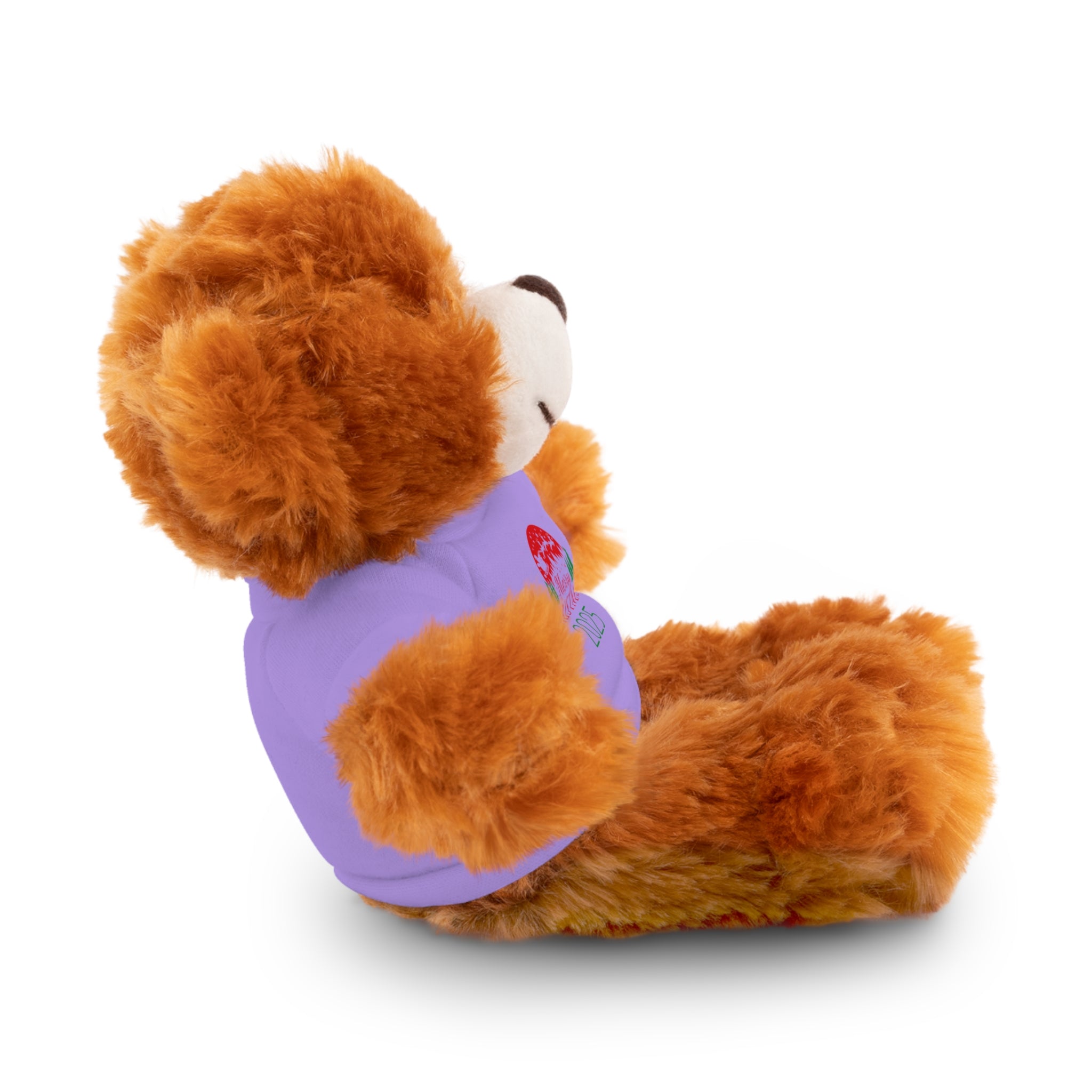 Christmas Plush Bear with 2025 Christmas Tee