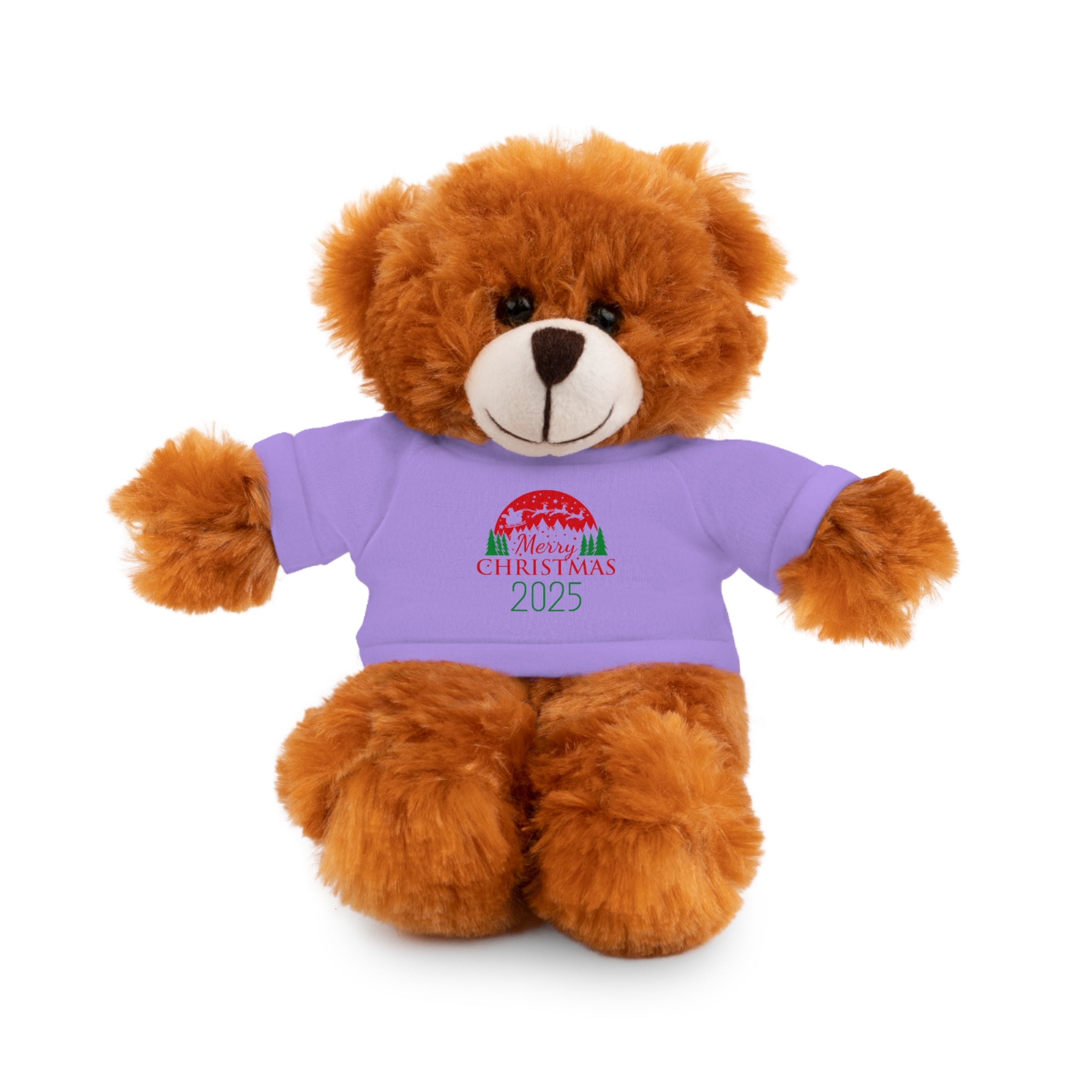 Christmas Plush Bear with 2025 Christmas Tee