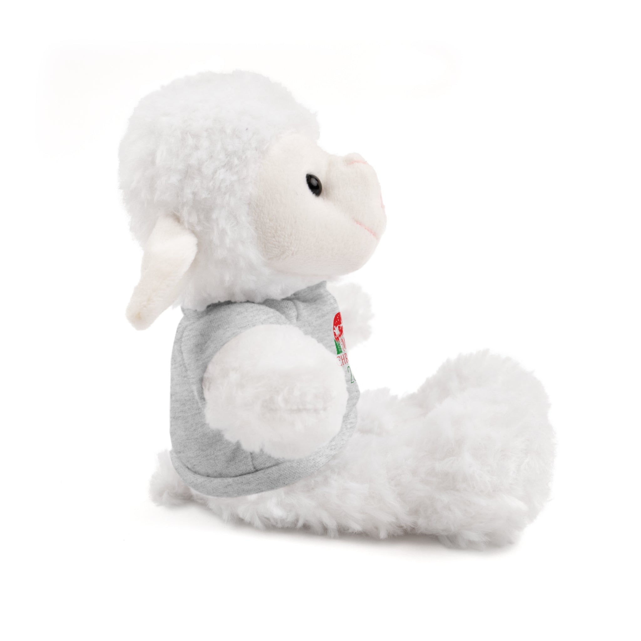 Christmas Plush Bear with 2025 Christmas Tee