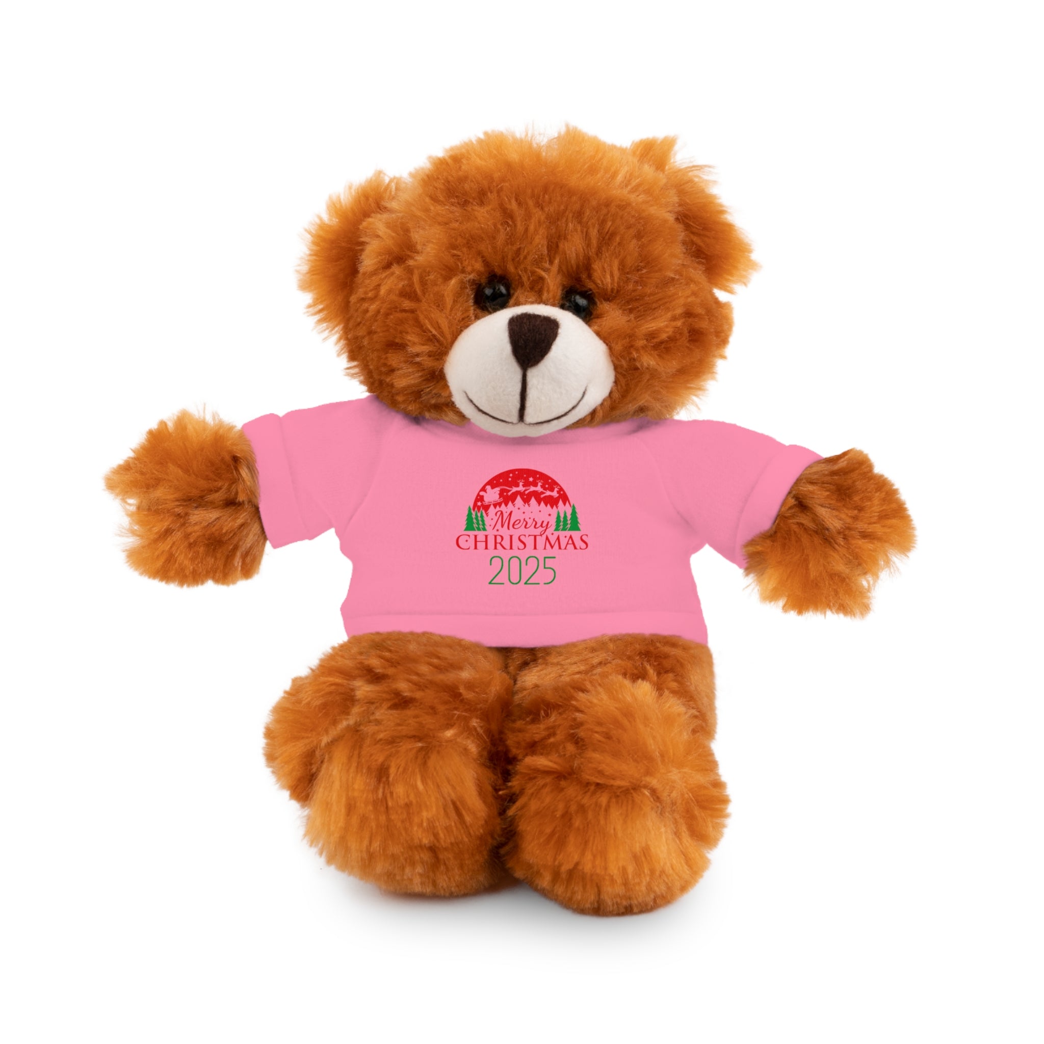 Christmas Plush Bear with 2025 Christmas Tee